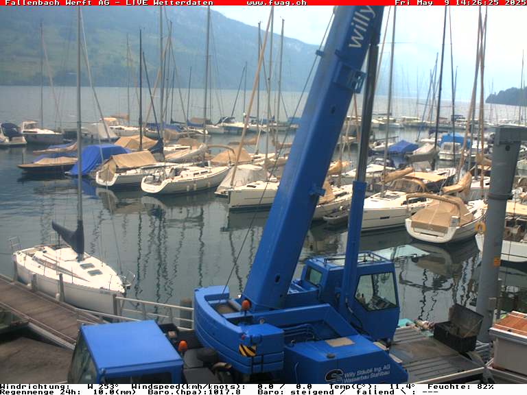 Camera Live Image